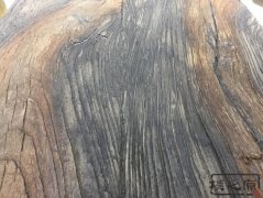 草莓视频APP网址IOS水泥仿木纹